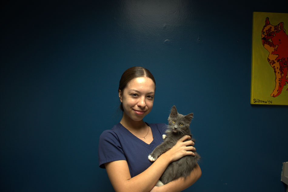 Jolene Pahl posing with a medium-hair grey kitten