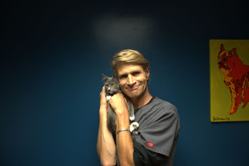 Dr. Weber posing with a small grey kitten.